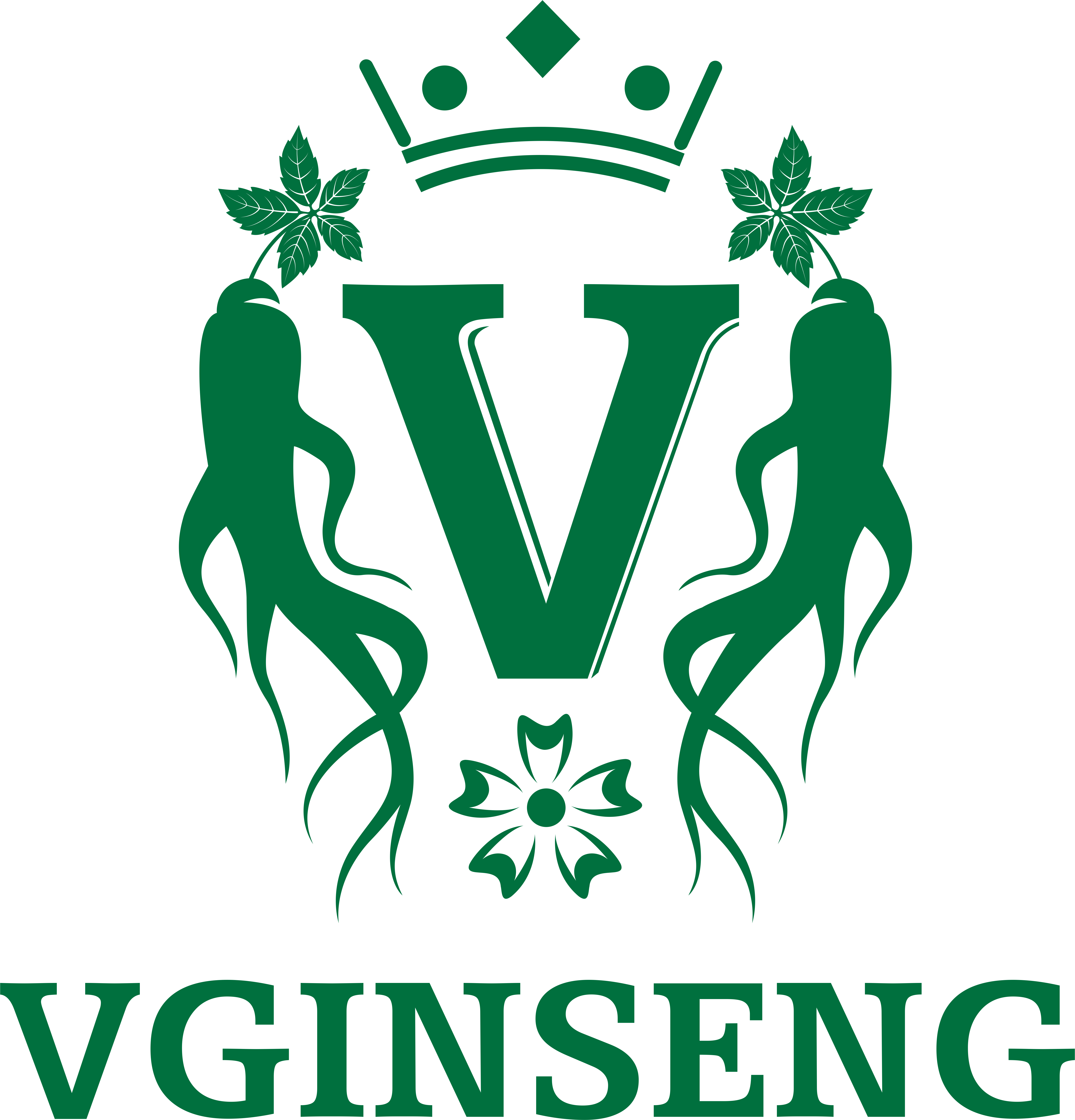 CÔNG TY CỔ PHẦN V-GINSENG